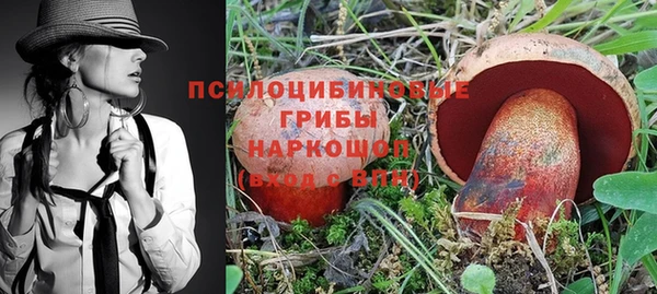 трава Горно-Алтайск