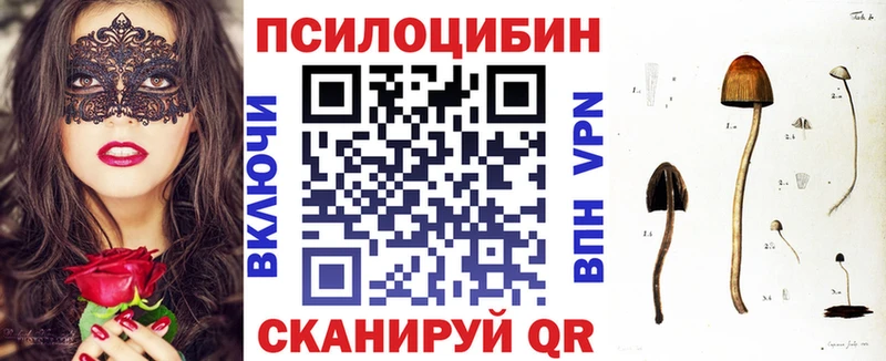 Псилоцибиновые грибы Psilocybe  Холмск 